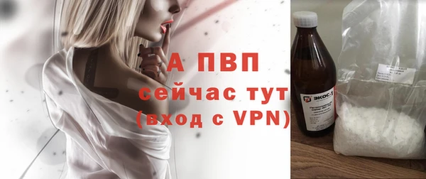 стаф Надым