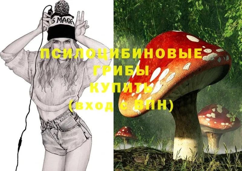 Галлюциногенные грибы Psilocybine cubensis  Черногорск 