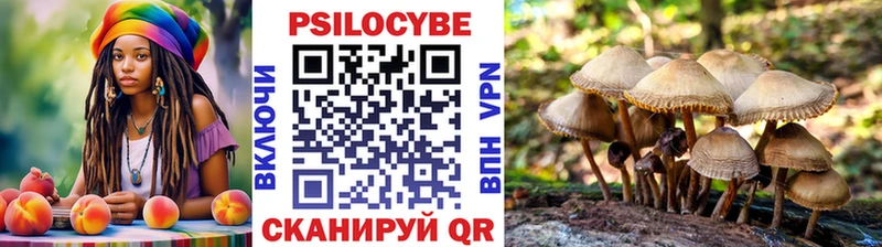 Галлюциногенные грибы прущие грибы Черногорск