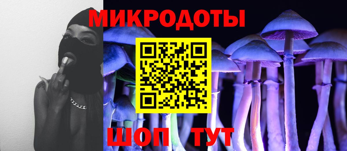 Черногорск  Галлюциногенные грибы Psilocybine cubensis  Вход с VPN 